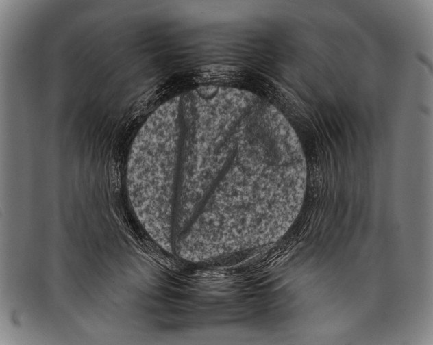 X0000097780751200804041214