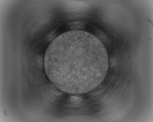 X0000097780753200804041214