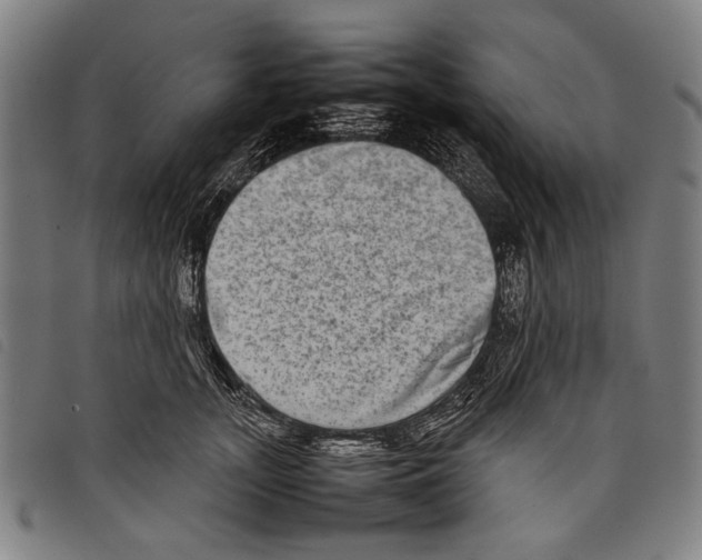 X0000097780755200804041214