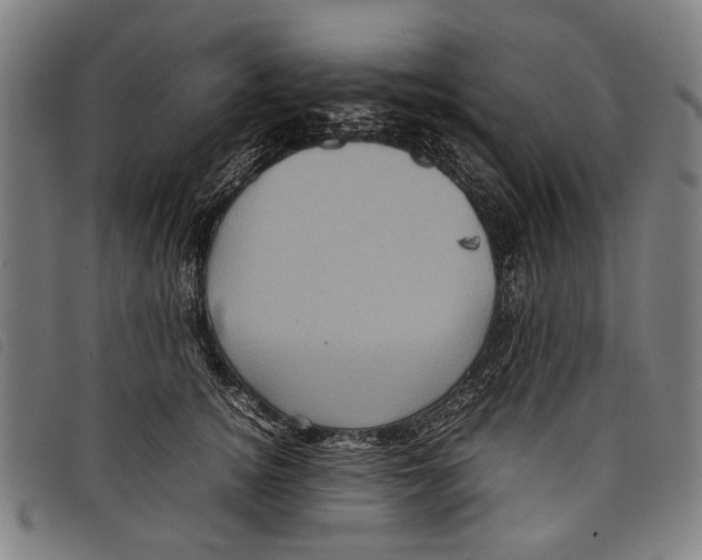 X0000097780756200804041214