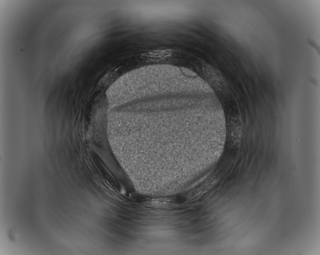 X0000097780758200804041214