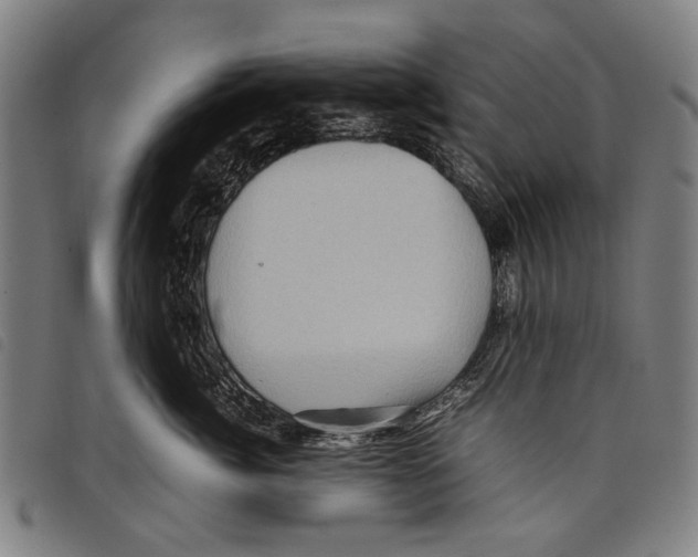 X0000097780764200804041214