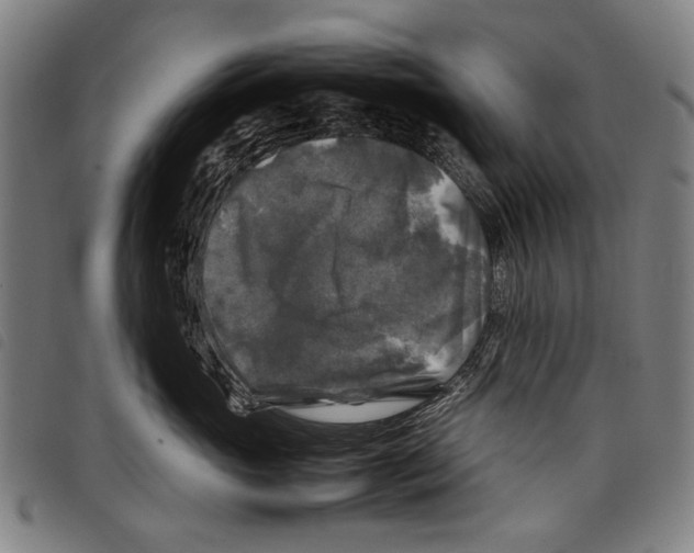 X0000097780765200804041214