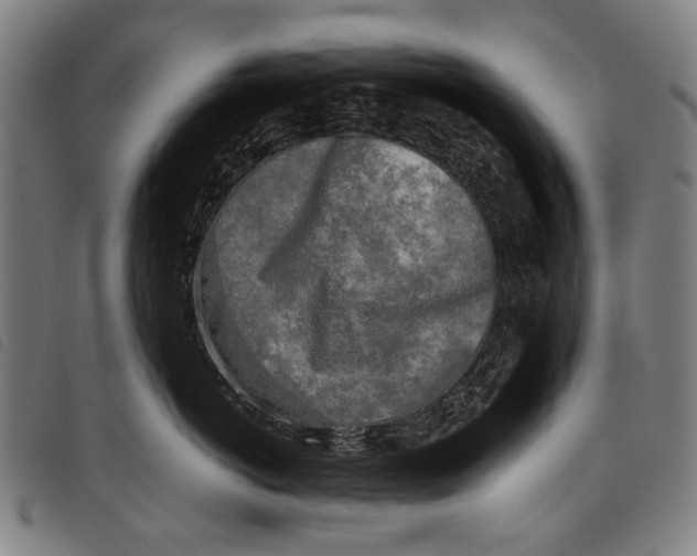 X0000097780766200804041214