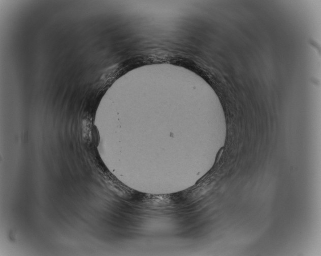 X0000097780768200804041214