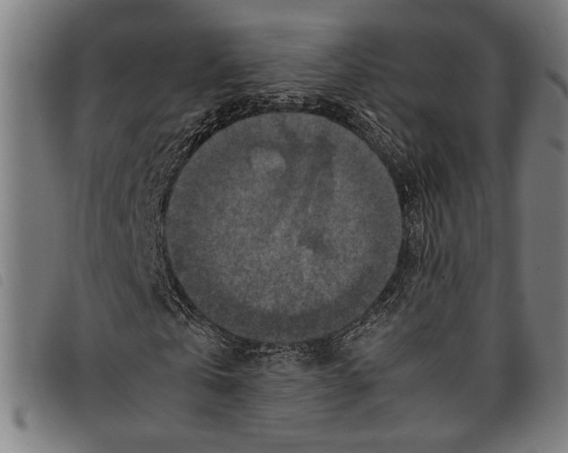 X0000097780769200804041213