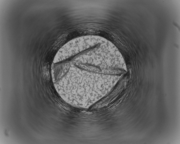 X0000097780771200804041213