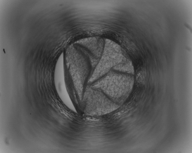 X0000097780772200804041213