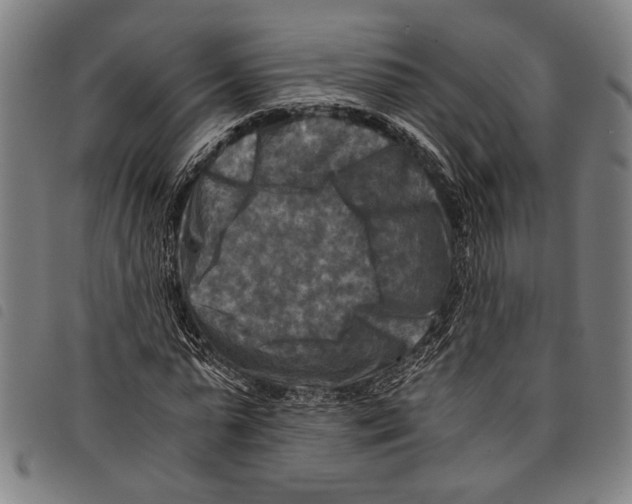 X0000097780775200804041213