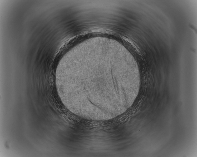 X0000097780776200804041213