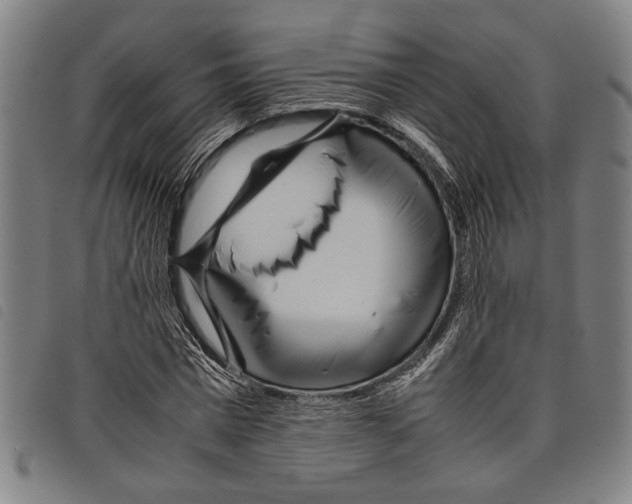 X0000097780777200804041213