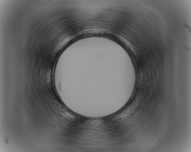 X0000097780778200804041213