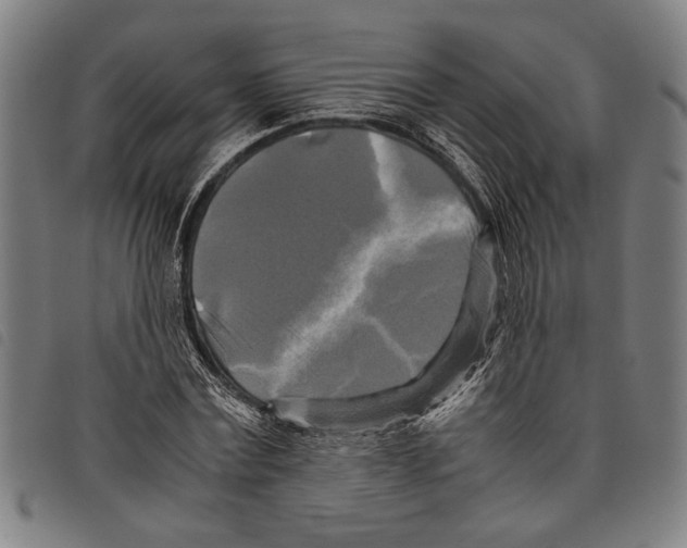 X0000097780779200804041213