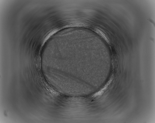 X0000097780781200804041213