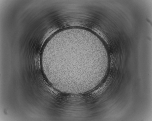 X0000097780782200804041213