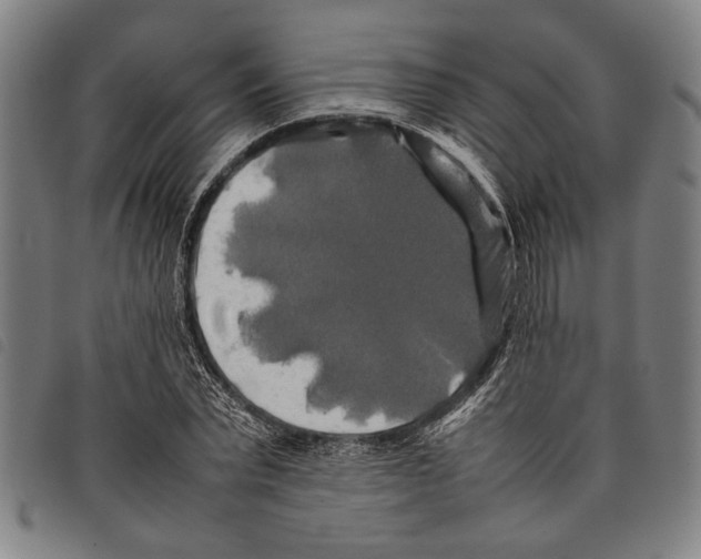 X0000097780783200804041213