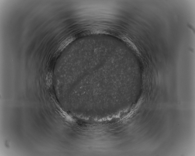 X0000097780785200804041213