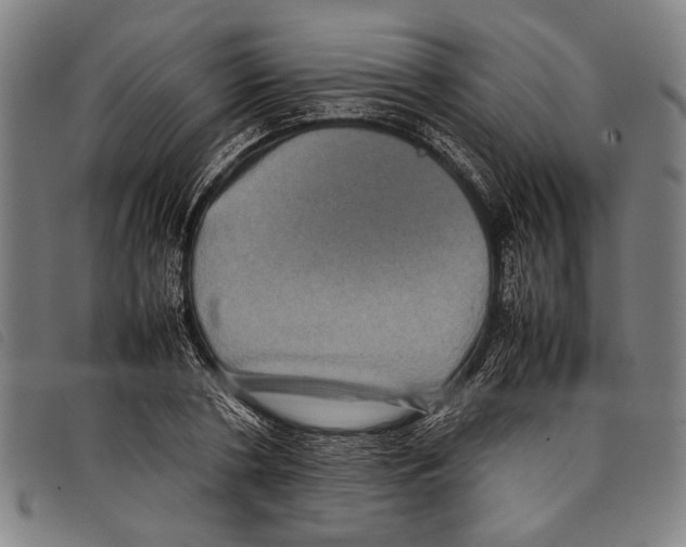 X0000097780786200804041213