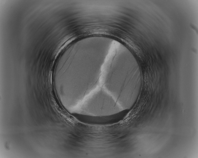 X0000097780790200804041213