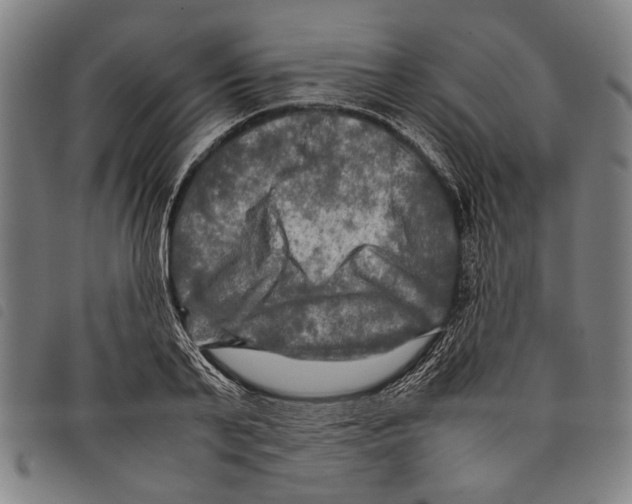 X0000097780791200804041213