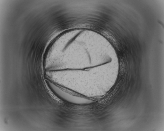 X0000097780792200804041213