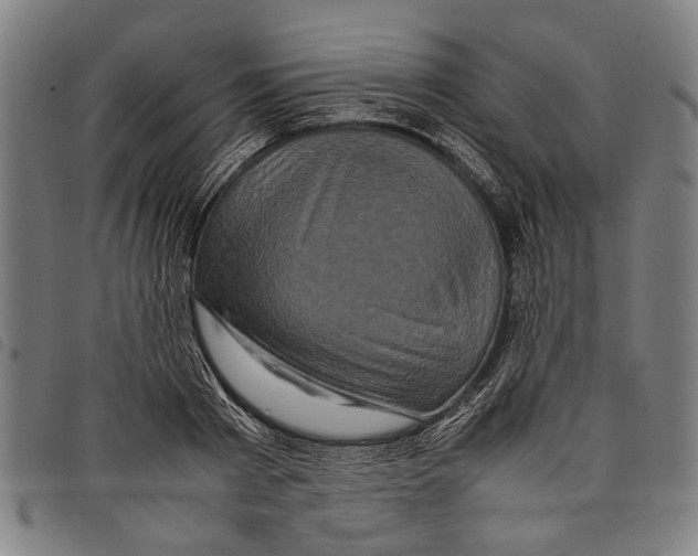 X0000097780793200804041213