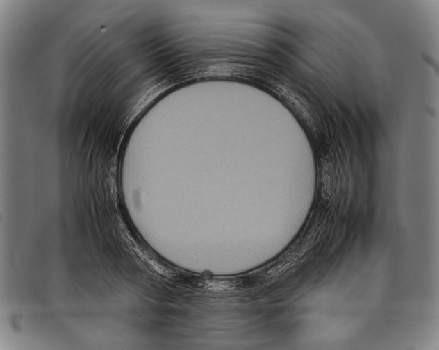 X0000097780794200804041213