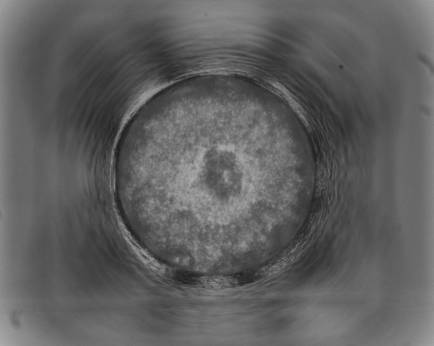 X0000097780795200804041213