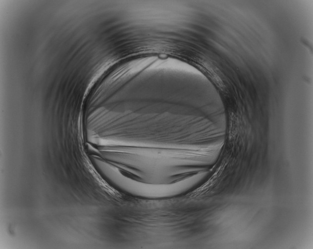 X0000097780796200804041213