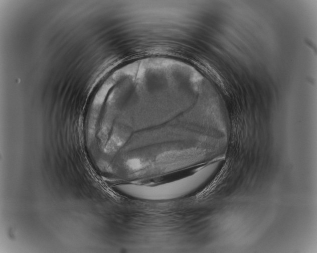 X0000097780798200804041213