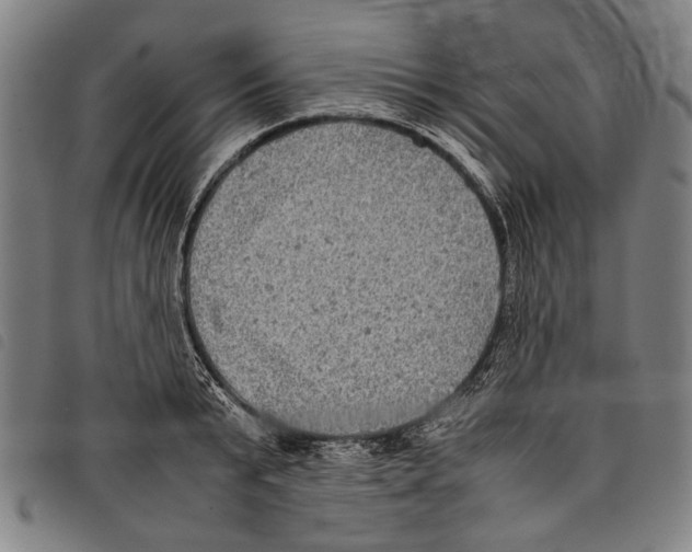 X0000097780799200804041213