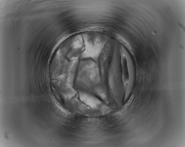 X0000097780800200804041213