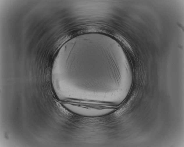 X0000097780801200804041213