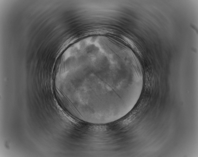 X0000097780802200804041213