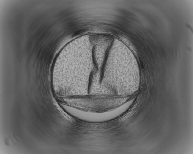 X0000097780803200804041213