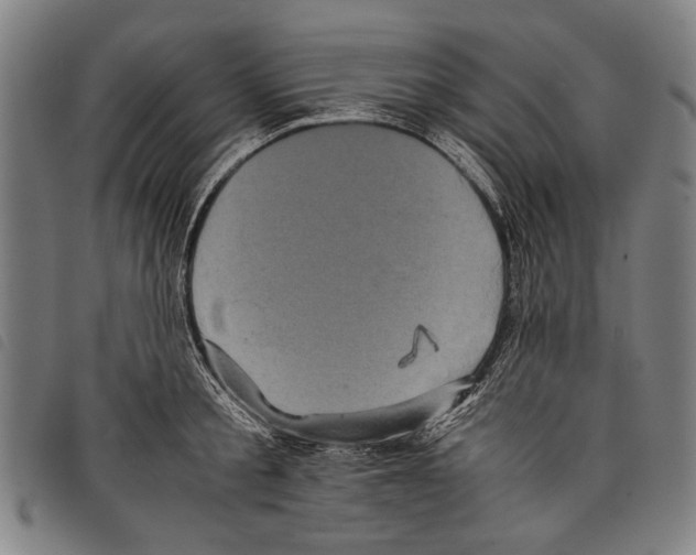 X0000097780805200804041213