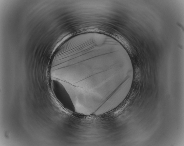 X0000097780806200804041213