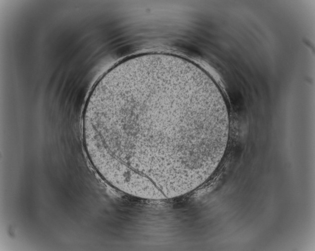 X0000097780807200804041213