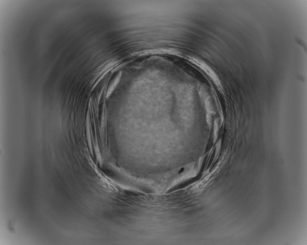 X0000097780809200804041213