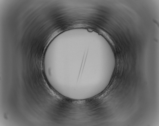 X0000097780810200804041213