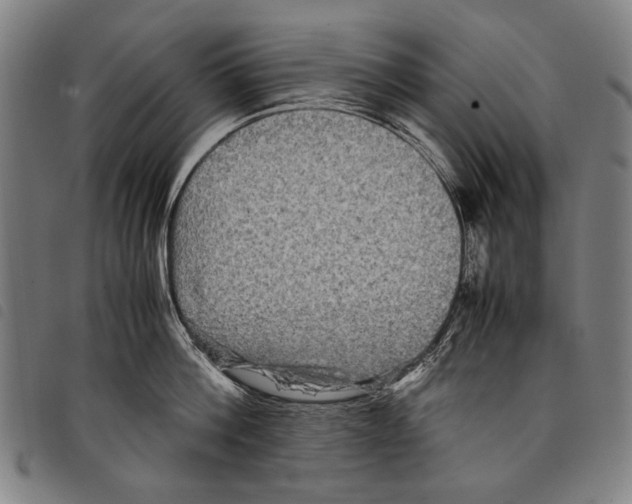 X0000097780812200804041212