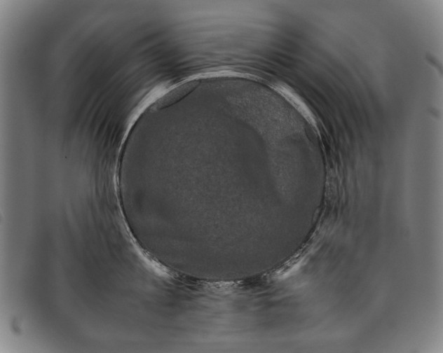 X0000097780813200804041212