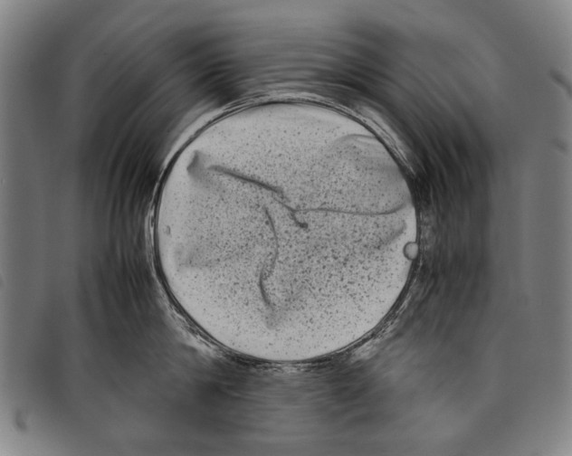 X0000097780814200804041212