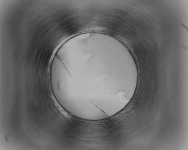 X0000097780816200804041212