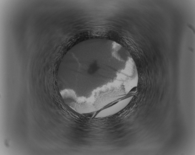 X0000097780817200804041212