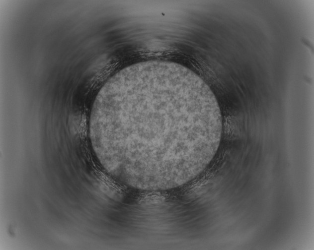 X0000097780820200804041212