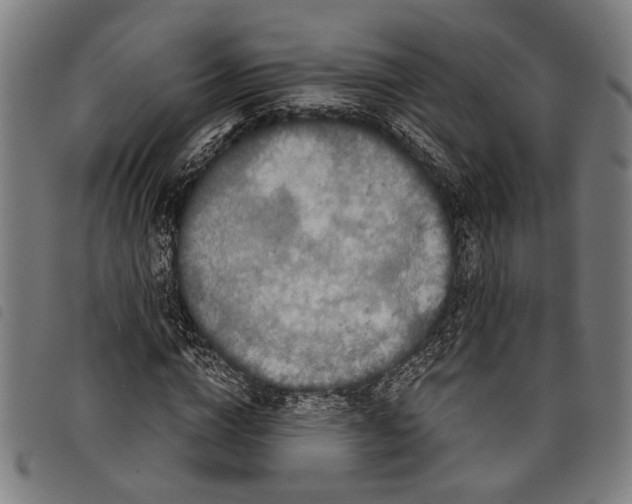 X0000097780824200804041212