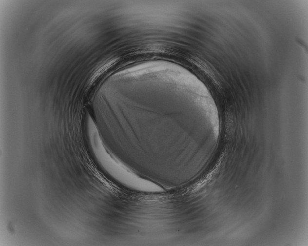 X0000097780826200804041212