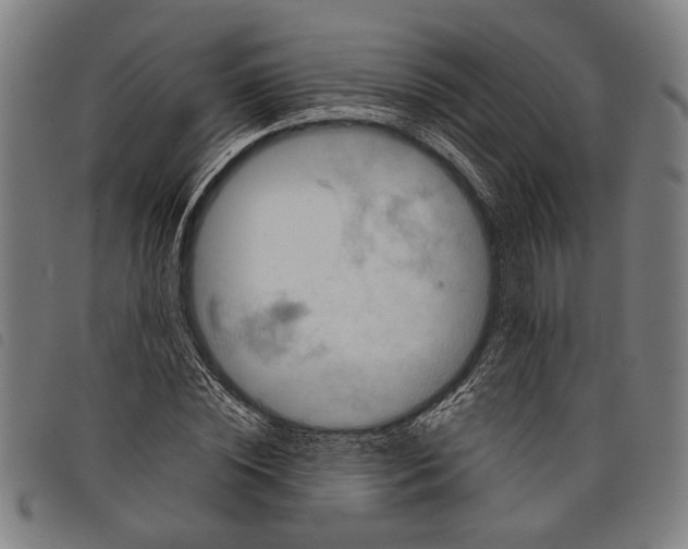 X0000097780828200804041212