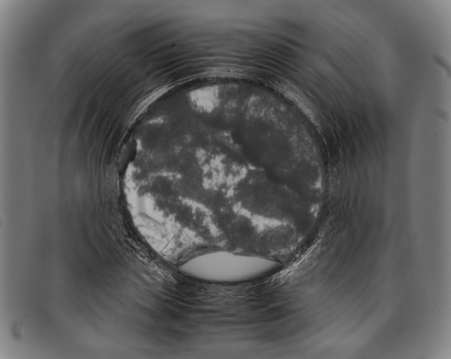 X0000097780829200804041212